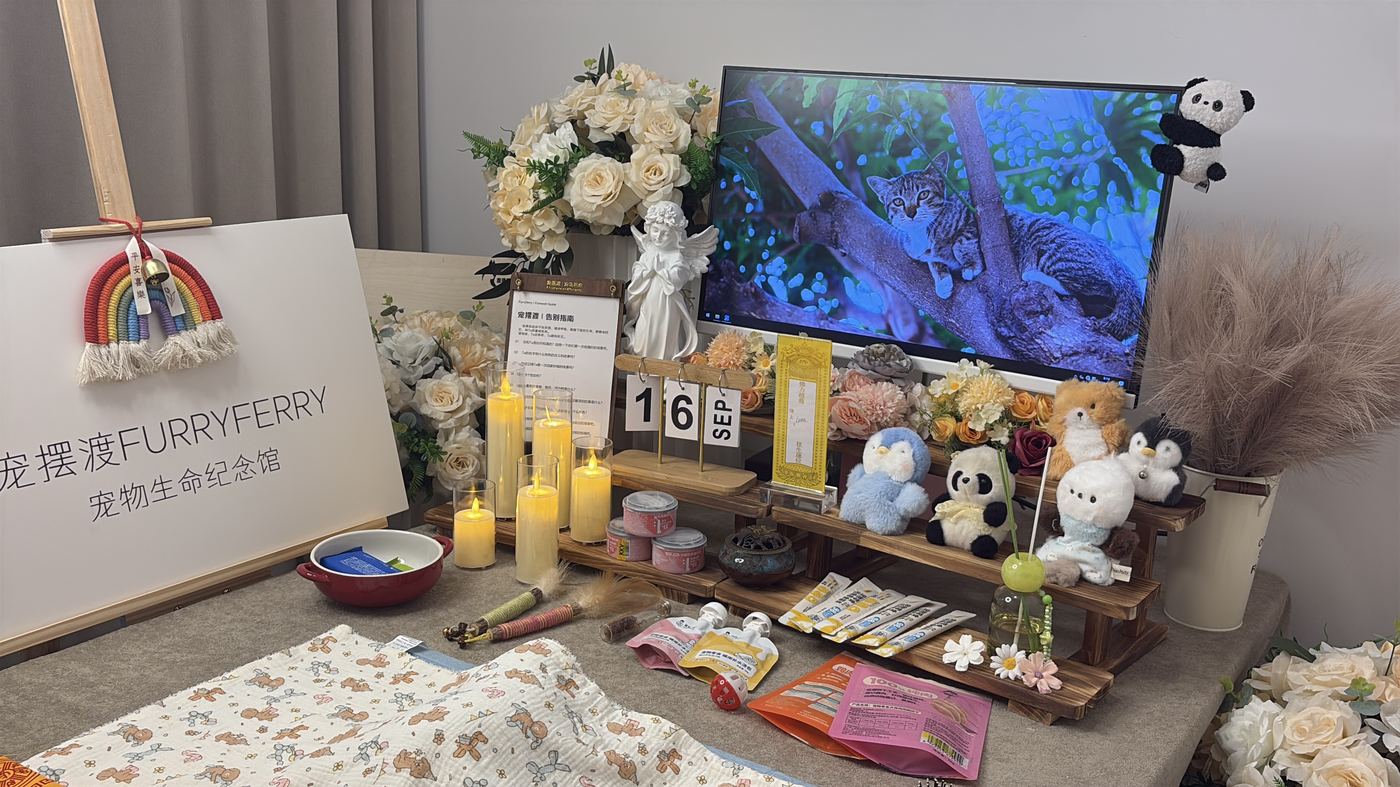 如何挑选靠谱的宠物殡葬机构？太原选择指南